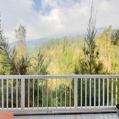Delvia Bromo Homestay Mitra Reddoorz Pasuruan Ngoại thất bức ảnh