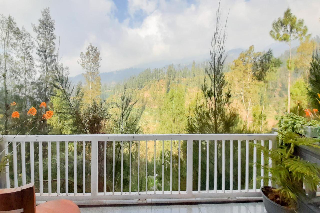 Delvia Bromo Homestay Mitra Reddoorz Pasuruan Ngoại thất bức ảnh